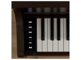 Цифровое фортепиано Casio Celviano AP-300BN