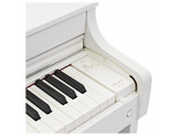 Цифровое фортепиано Casio Celviano AP-300WE