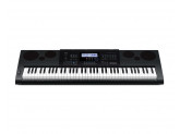 Синтезатор Casio WK-6600 (76 клавиш)